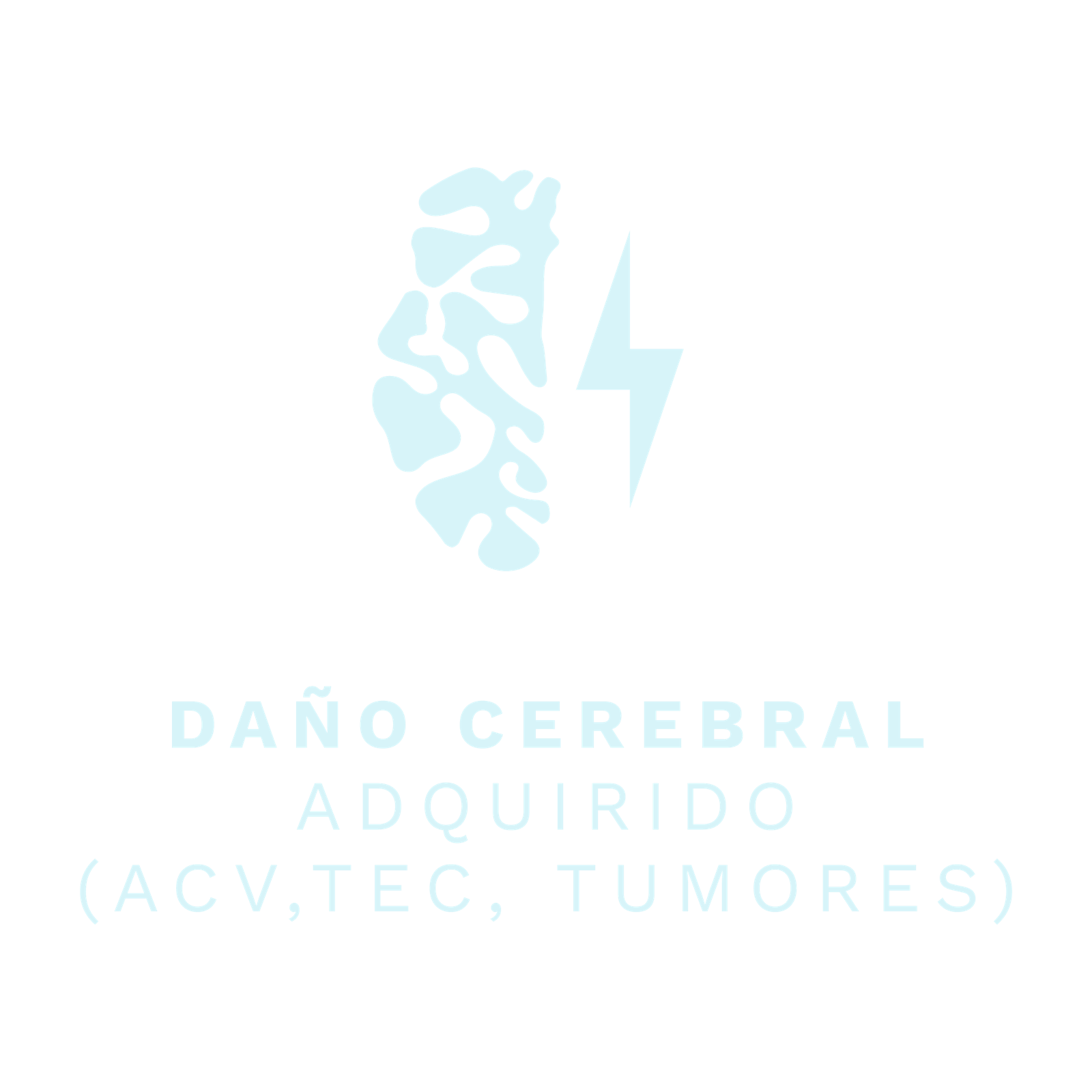 Daño Cerebral Adquirido (ACV, TEC…)